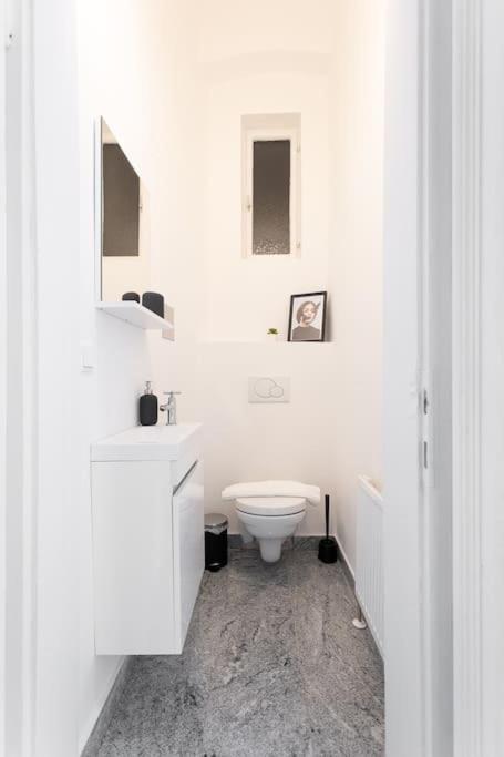 Franz 23 - Typical Viennese Apartment In The Heart Of Vienne Extérieur photo
